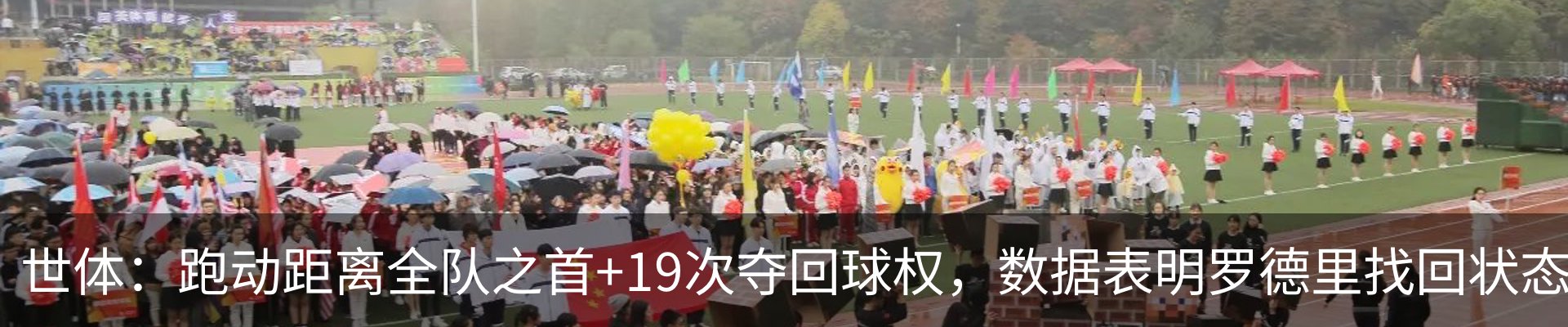 最新动态