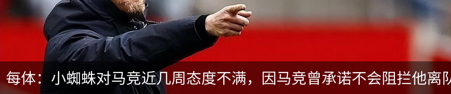 最新动态