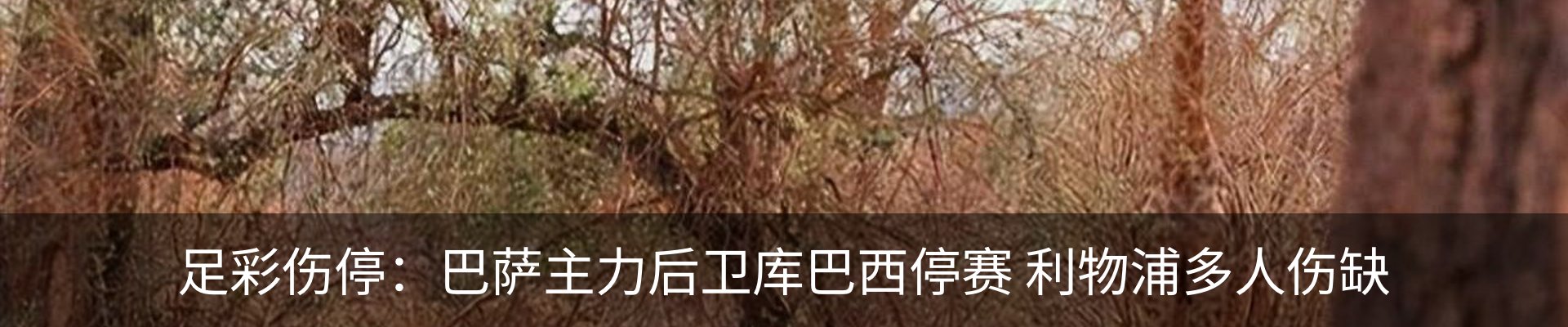 最新动态